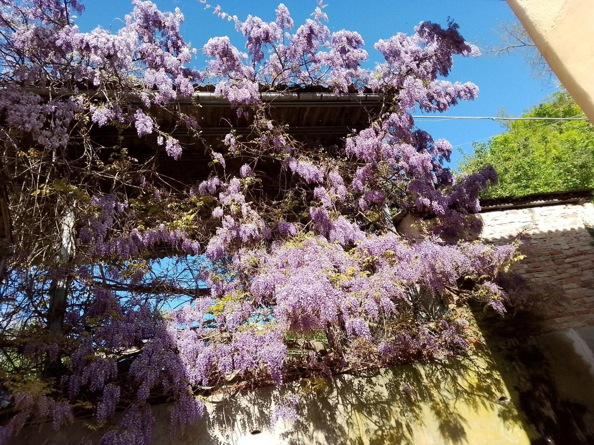 Aspettando Monet Villa Cocconato Ngoại thất bức ảnh